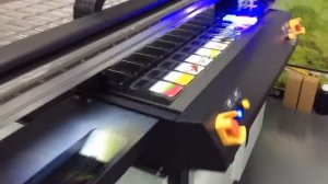 Ricoh GH2220 UV printer