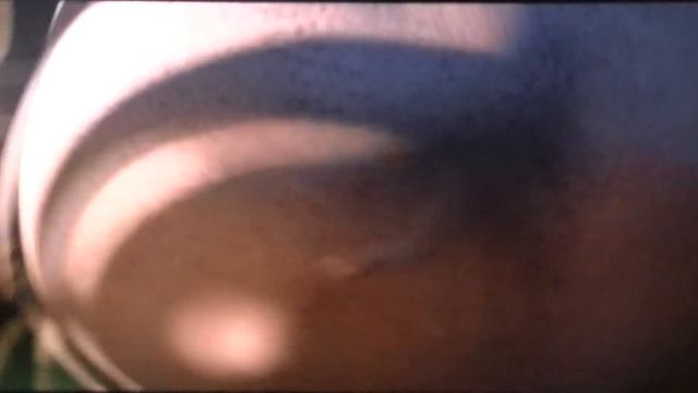 Madagascar 2 - Gloria's butt 1 смотреть онлайн