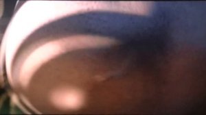 Madagascar 2 - Gloria's butt 1