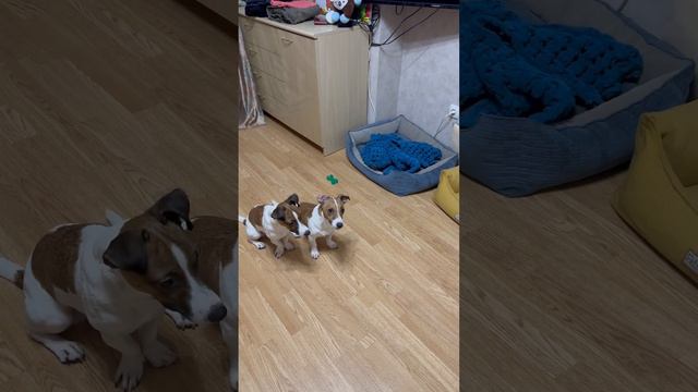 Перетяжка /ч.6 «Программа дала сбой» 🤣 Финал (видео не частями у нас в ТГ) смотреть онлайн