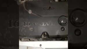Лавр 203! Раскаксовка двигателя Лавром 203! LAVR ML203. Калина 1.4 16V жрет масло!ПОДПИСЫВАЕМСЯ!!!