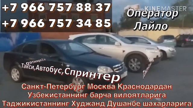 Такси Автобус Москва-Худжанд Москва Душанбе смотреть онлайн