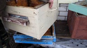Пчеловождение в 12 рамочных ульях на двух корпусах с надставками