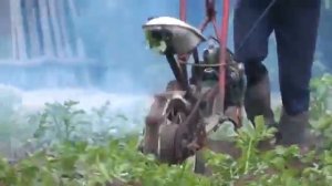 окучник из бензопилы