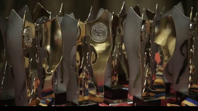 Украинская федерация бодибилдинга фитнеса и атлетизма UBPF смотреть онлайн