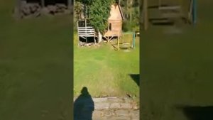 Обзор турбазы в Горном Алтае