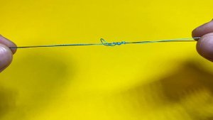 Рыболовный узел gt knot. Быстрый способ как связать две лески между собой
