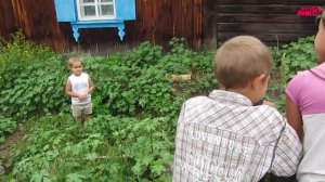 Сказка о страшном сорняке и о дружной команде. (08.17г.) Семья Бровченко.