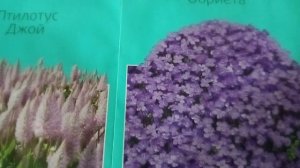 Открываю сезон! Обзор семян цветов на 2024 год.