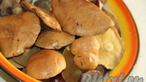 Как заморозить жареные грибы на зиму