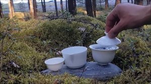 Иван Чай гранулированный. Завариваем в гайвани.