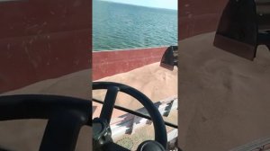 погрузка зерна.в баржу.