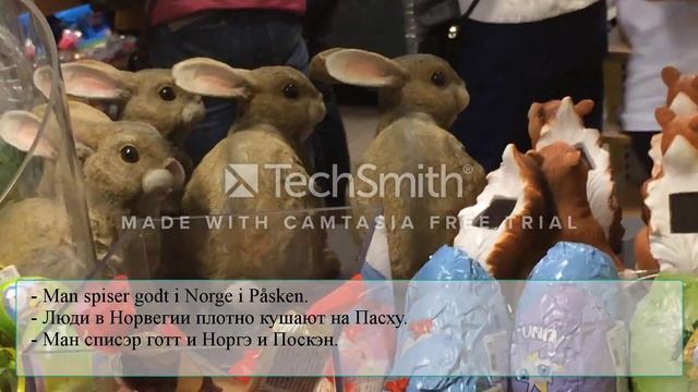 Диалоги для изучения норвежского языка: норвежская бытовая лексика с субтитрами на русском смотреть онлайн