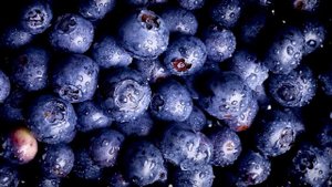 Most Powerful Epic OLED Dolby Vision - 4K HDR Video ULTRA HD 120FPS