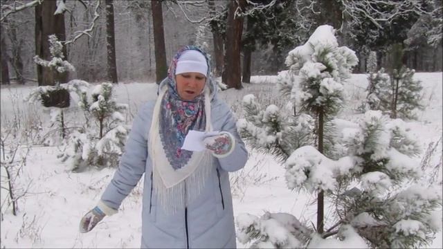 Теле кыдалне. Галина Лунькова. Аркадий Букетов кусарен.