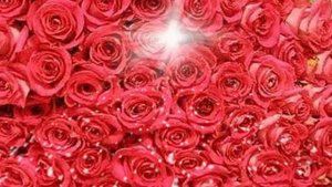 Я БРОШУ МИР К ТВОИМ НОГАМ!!!