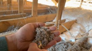 Утепление крыши - Пеноизол