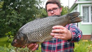 РЫБА КАРП на МАНГАЛЕ. КАРТОШКА В КАЗАНЕ НА КОСТРЕ. ENG SUB.