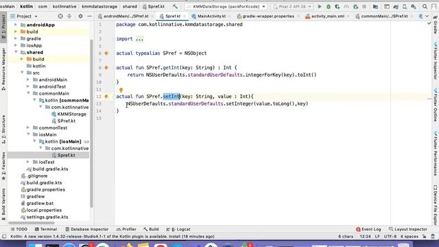 Data Storage in Kotlin Multiplatform Mobile