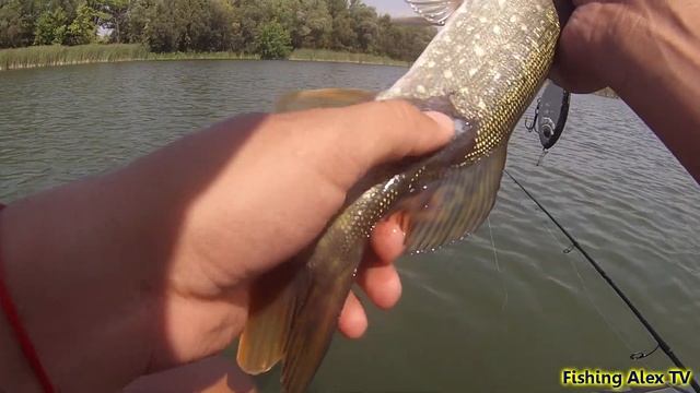 ДЖЕРК для ВСЕХ,Рыбалка на спиннинг в жару.....и при высоком давлении смотреть онлайн