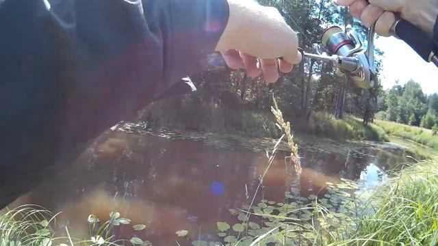 Поймал щуку на keitech noisy flapper смотреть онлайн
