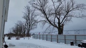 СЛУЧИЛОСЬ ТО ЧЕГО БОЯЛИСЬ /СЕЛЬЧАНКА В АМЕРИКЕ