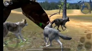 Ultimate wolf simulator 2 как получить много опыта