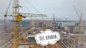 Лес кранов! Башенный кран КБ-408.21 | КБ-405 | SMK-10.200 | ЖК Новоград Монино