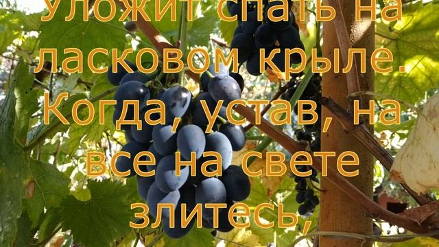 Поздравление Вера, Надежда, Любовь 30 сентября! смотреть онлайн
