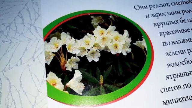 Моя страна Собери Карту России от Hachette Выпуск № 92/ My country Collect the Map of Russia
