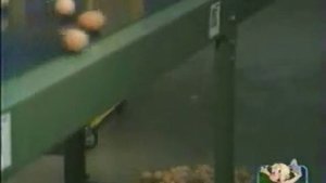конвейер с Яйцами  the conveyor with Eggs