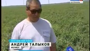Астраханские фермеры благодаря новым технологиям готовы к сбору раннего урожая