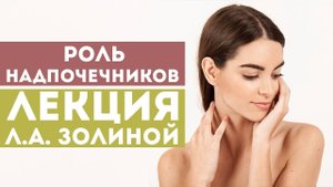 Роль и значение надпочечников в организме человека - Лекция Л.А. Золиной