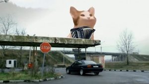 БумерPopCat / БумерКэт / Бумер на звонок с котиком / Мобильник / 1 часть