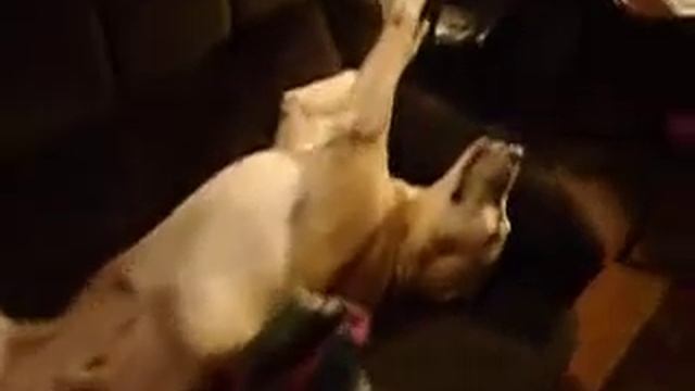 крепкий сон.AVI смотреть онлайн