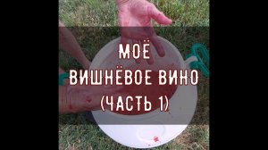 Моё вишнёвое вино - это как жизненная философия, а не просто качественное домашнее бухло (часть 1)