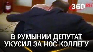 Видео: депутат откусил нос своему коллеге. Румынские парламентарии подрались в кулуарах