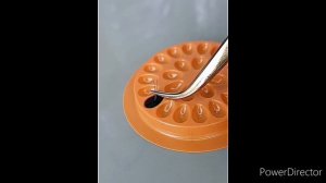 КАК ПРАВИЛЬНО ОКУНАТЬ РЕСНИЦУ В КЛЕЙ