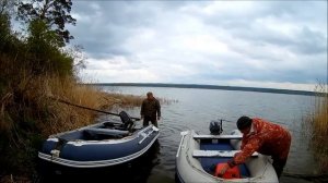 Микатсу 9.9  продолжает жить.