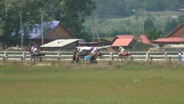 Алтаргана-2018. Скачка лошадей старшего возраста. 1800м смотреть онлайн