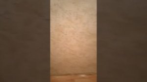 Я показываю как кипятить чайник