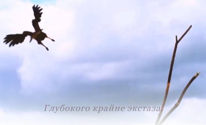 ГОРДЫНЯ.mp4