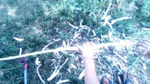 Неплохой лук из клёна