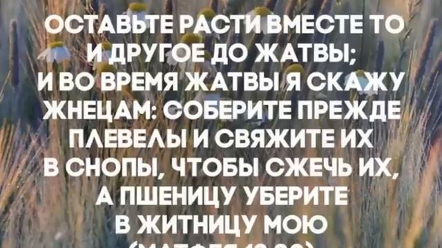 Начертание, это инструмент связывания плевел в связки и только для этого оно и существует!