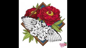 Бабочки 321-330