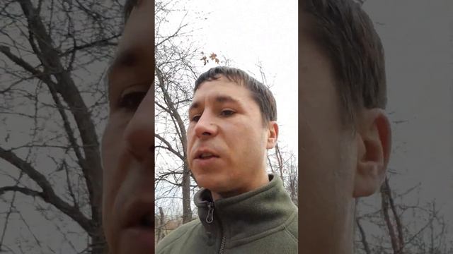 ЛИЧНЫЕ ДЕМОНЫ!? ДЕМОНОЛОГИЯ ТЕОРИЯ. Александр Пичуев