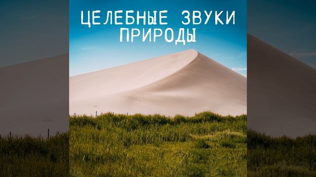 Идеальный отдых