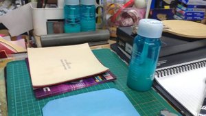 宏亮 大自在運動休閒精品店 LINE@訂單 新竹市 陳先生 STIGA INFINITY VPS V 桌球拍 樊振東使用 正手 DONIC F1 反手 銀河 地球2 EARTH II