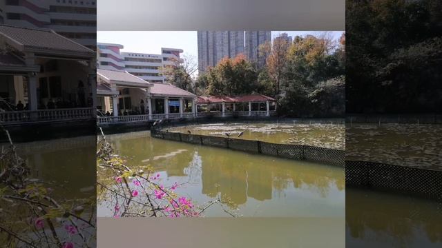 Canon 100d photography slide show||Pamela Abad смотреть онлайн