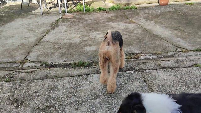 А у нас во дворе  in our yard.